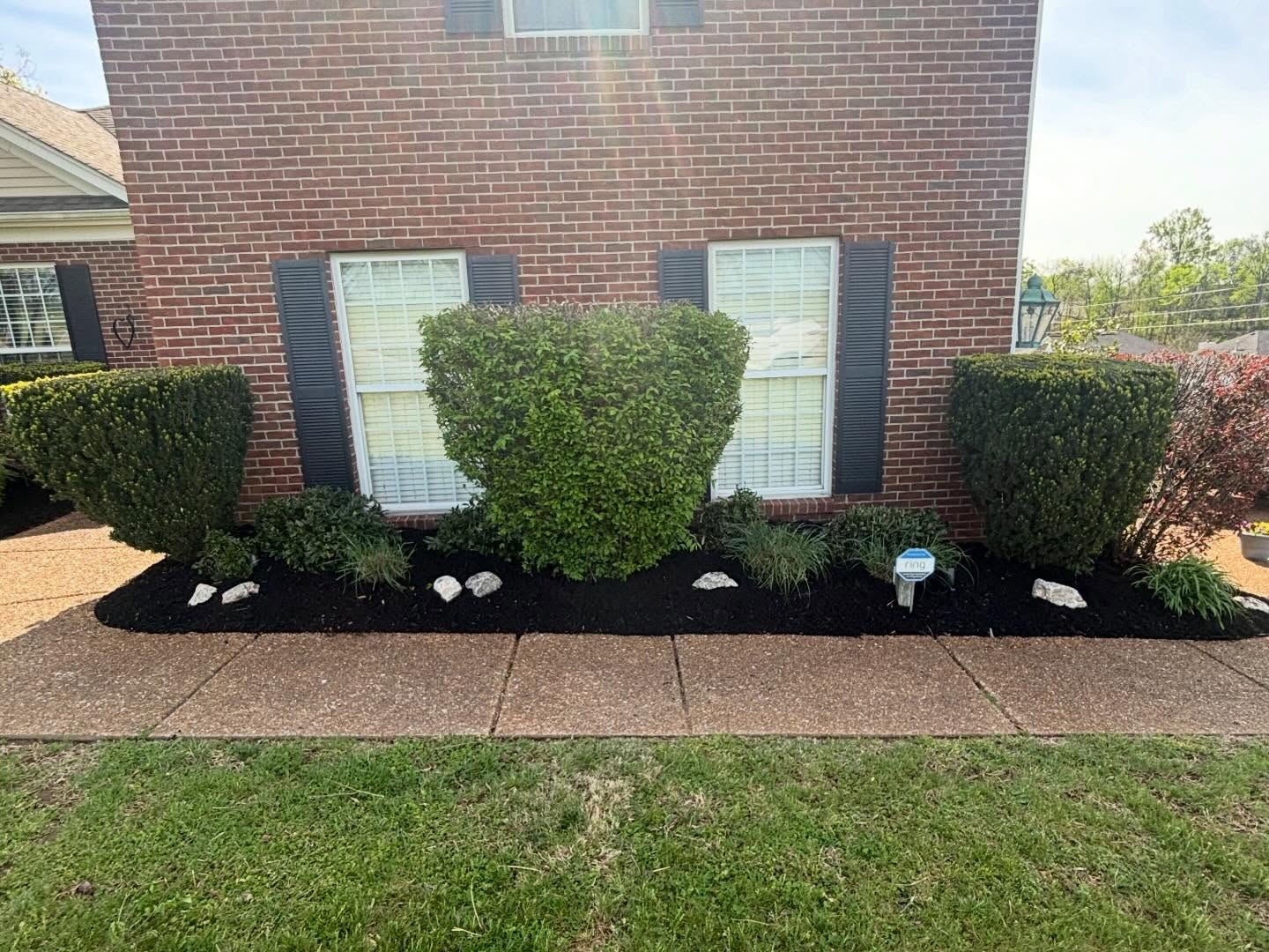 Landscape project 6